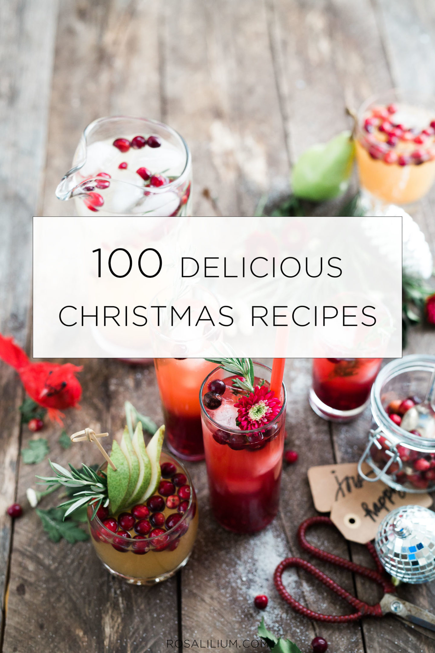 100 delicious christmas recipes