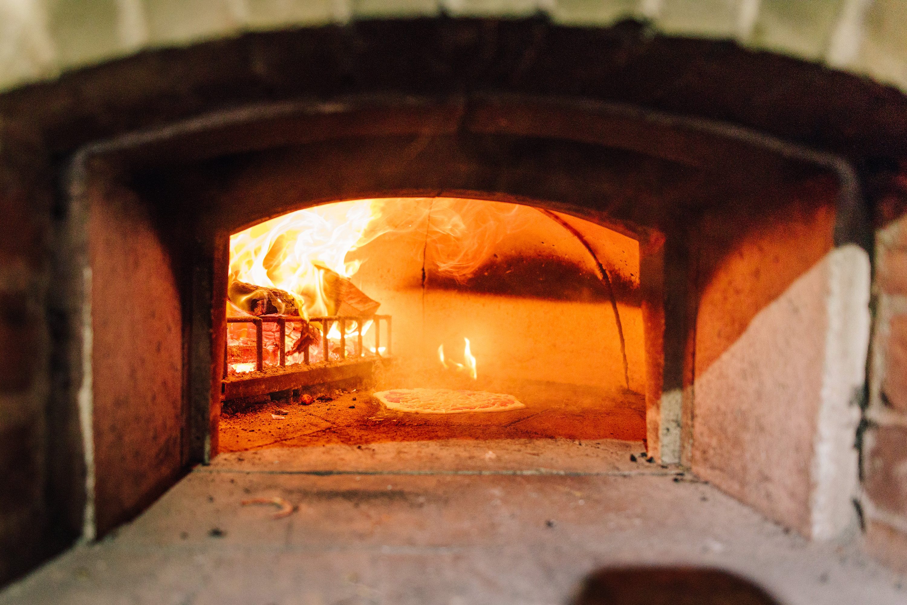 Elizabeth and Raj Pizza Oven